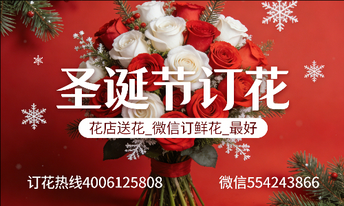 嘉兴海盐县花店送花_微信订鲜花_圣诞节订花_最好? 嘉兴海盐县花店