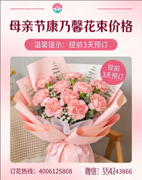 嘉兴海盐县花店母亲节康乃馨花束