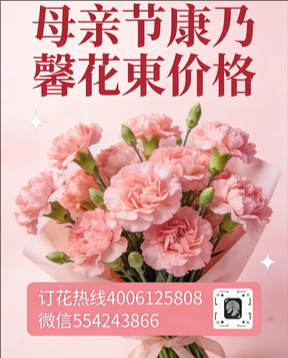 嘉兴海盐县花店母亲节康乃馨花束